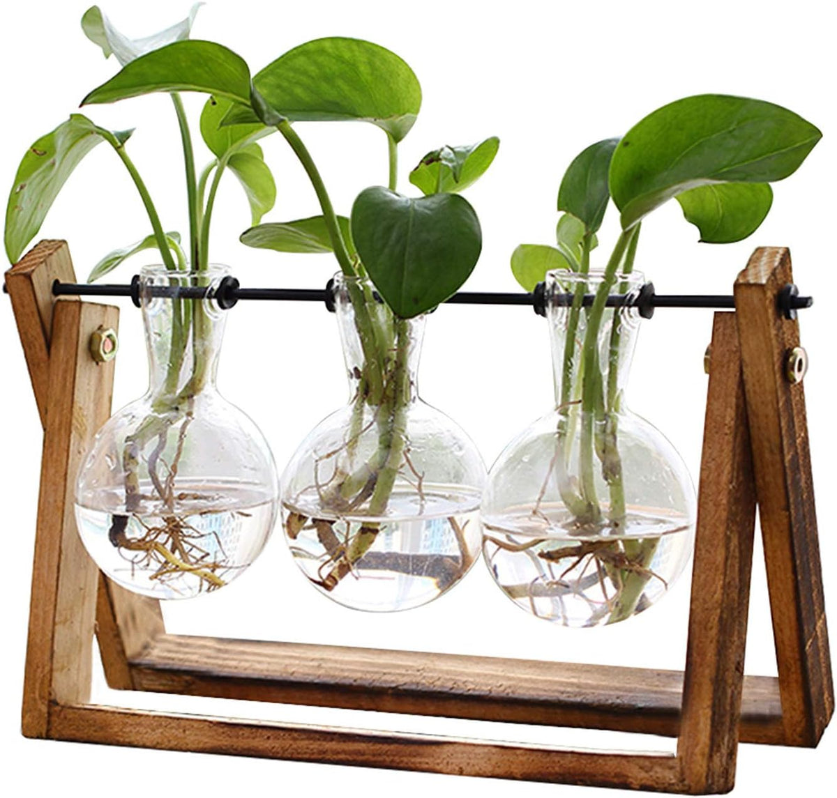 Glass Plant Terrarium – 3-Bulb Vase with Wooden Stand